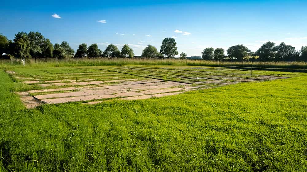 Invertir en campos y chacras, oportunidades y claves