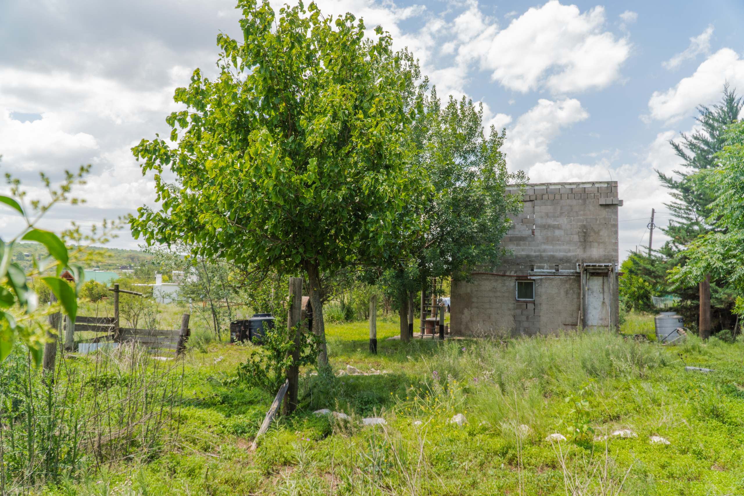 lote de los espinillos