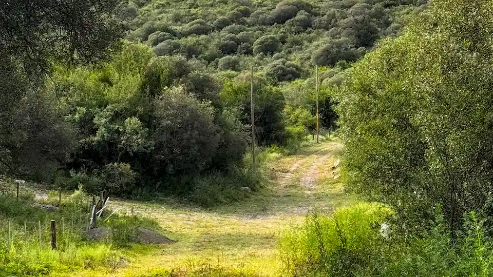 colinas de cantamé