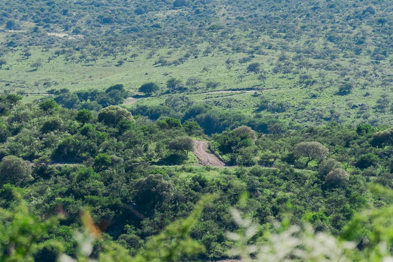 colinas de cantamé