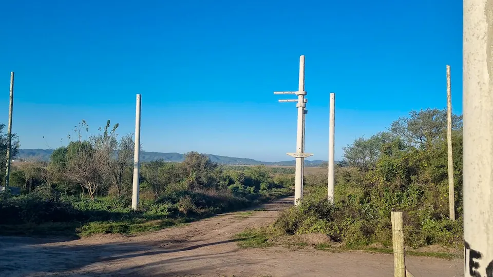 dalmacio