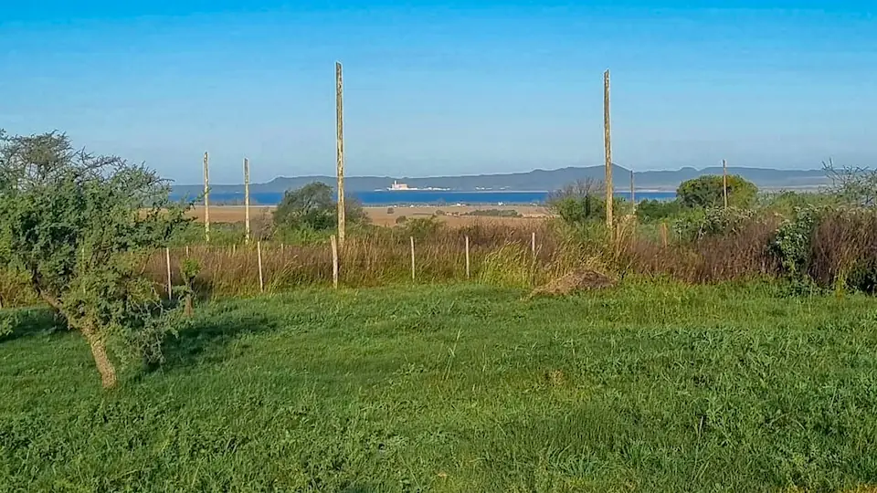 dalmacio