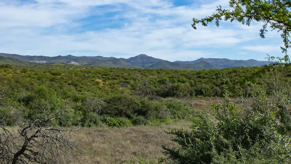 vallecito