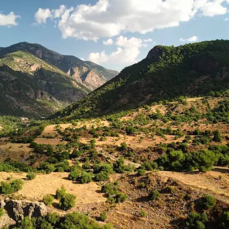 Errores al comprar un terreno en Argentina y cómo evitarlos